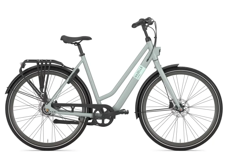 Een productafbeelding van een Gazelle Esprit Belt